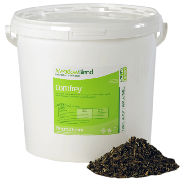 Picture of Comfrey