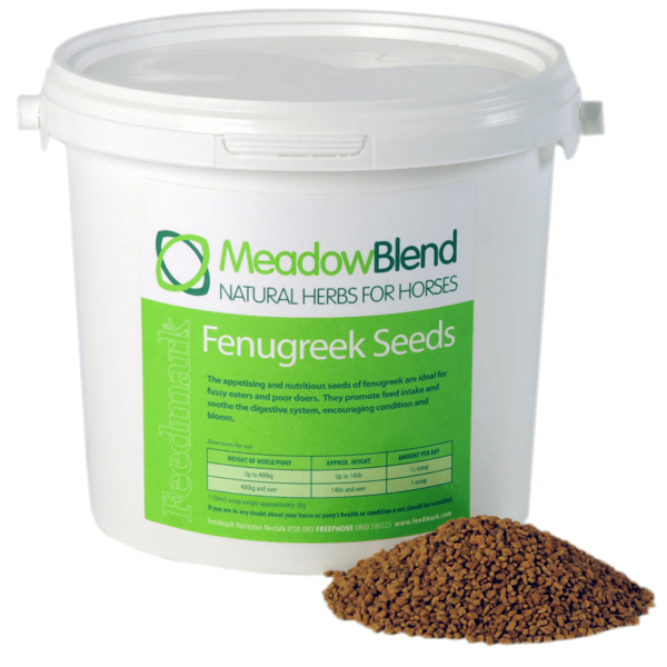 Picture of Fenugreek Seeds