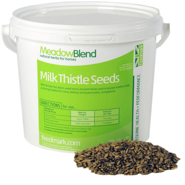 Picture of Milk Thistle Seeds