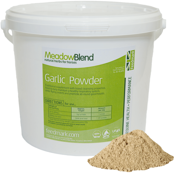 Picture of Garlic Powder