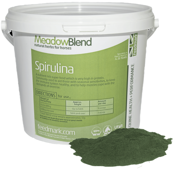 Picture of Spirulina