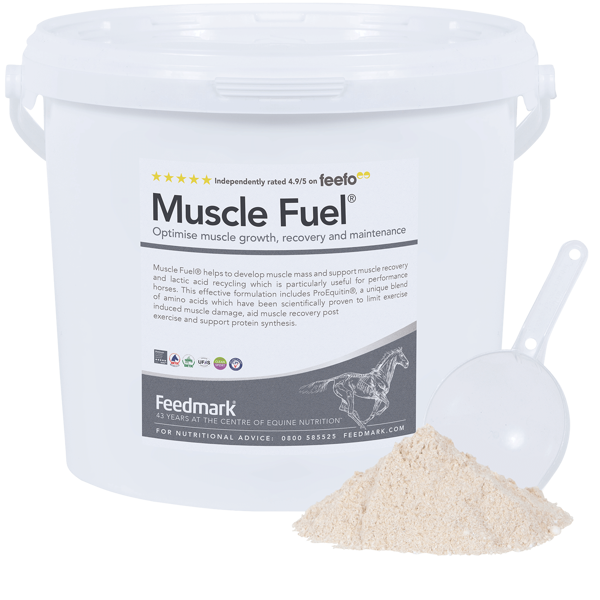 Picture of Muscle Fuel®