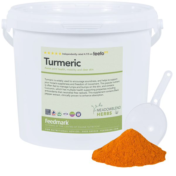 Picture of Turmeric