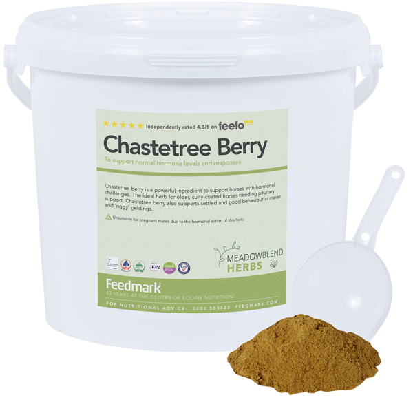 Picture of Chastetree Berry