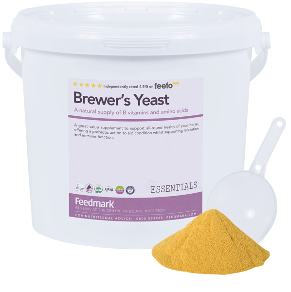 Picture of Brewer's Yeast