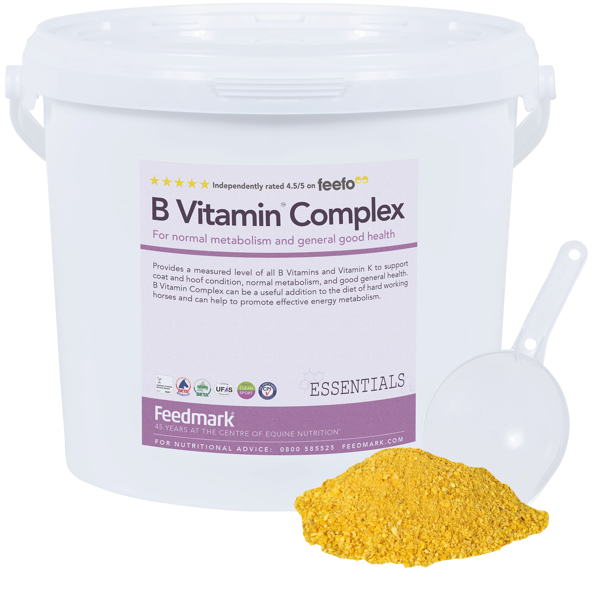Picture of B Vitamin Complex