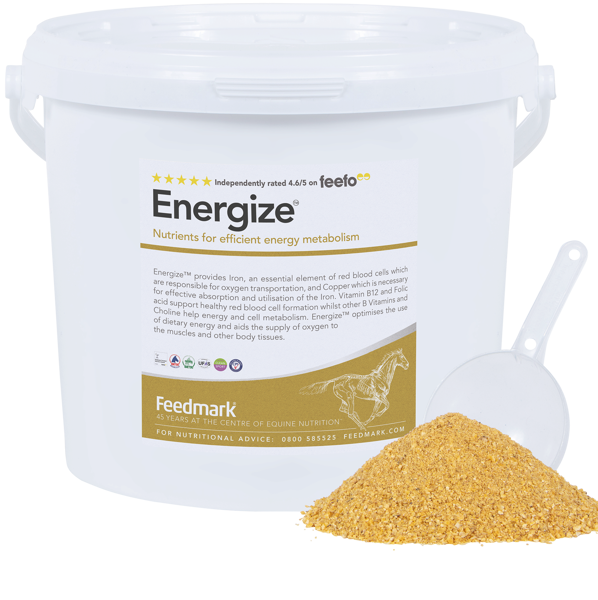 Energize™  Horse Energy Supplement