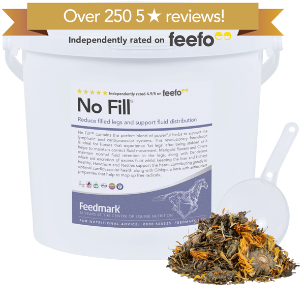 No Fill™  Horse Lymphatic Supplement Product Image 250 reviews 