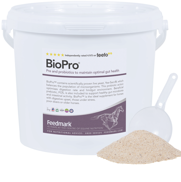 BioPro Prebiotics and probiotics gut health