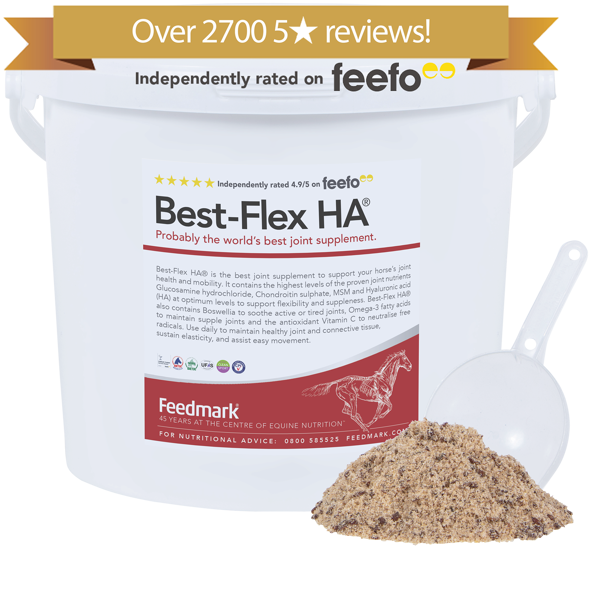 Best-Flex HA® horse supplement for joint health
