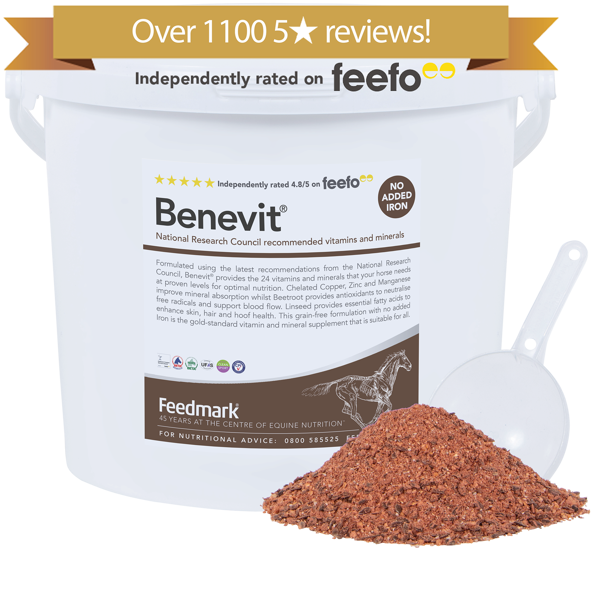 Benevit® Horse Vitamin and Mineral Supplement Product Image 1100 reviews