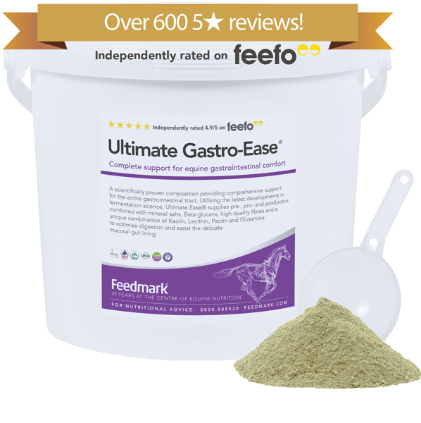 Ultimate Gastro-Ease Gastric Supplement for horses Product Image