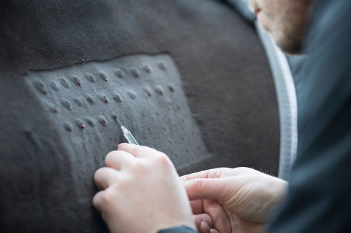allergen prick testing for horses with hives 